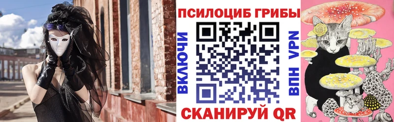 Купить где  Торопец  Галлюциногенные грибы Magic Shrooms 